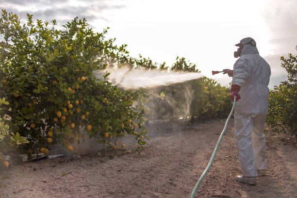 Best Cockroach Control Services  in Eddyville, IA